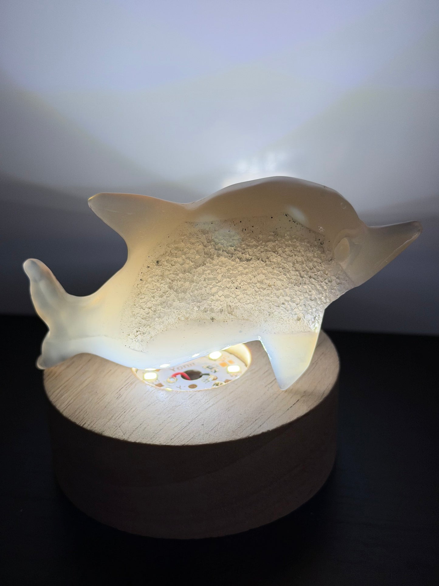 Agate Dolphin with Natural Druzy