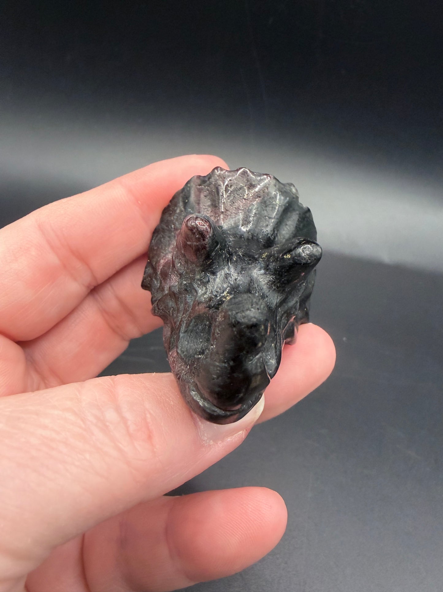 Garnet in Schist Triceratops – Crystal Carving (5cm)