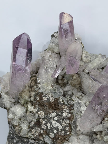 VERA CRUZ AMETHYST CLUSTER ON MATRIX — COLLECTOR PIECE 260g