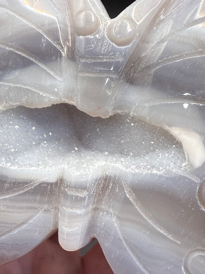 Agate Butterfly with Sparkling Druzy