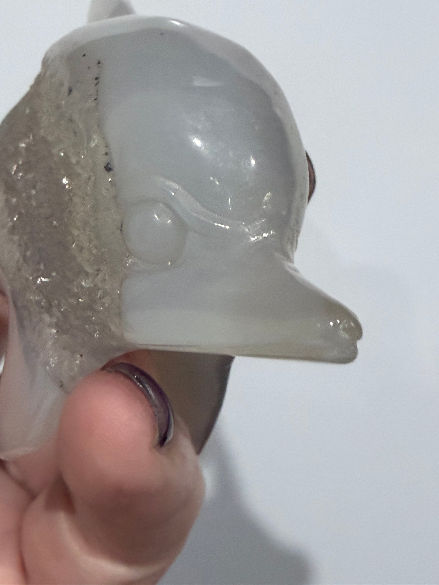 Agate Dolphin with Natural Druzy