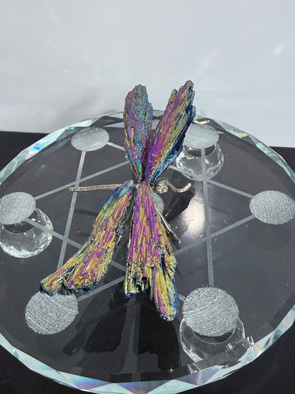 Aura Kyanite Dragonfly – 9cm