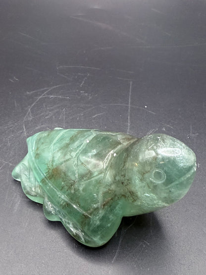 Extra Special Fluorite Turtle with Dendritic Inclusions