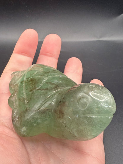 Extra Special Fluorite Turtle with Dendritic Inclusions