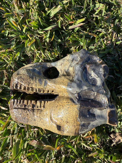 Picture Jasper Dino Skull
