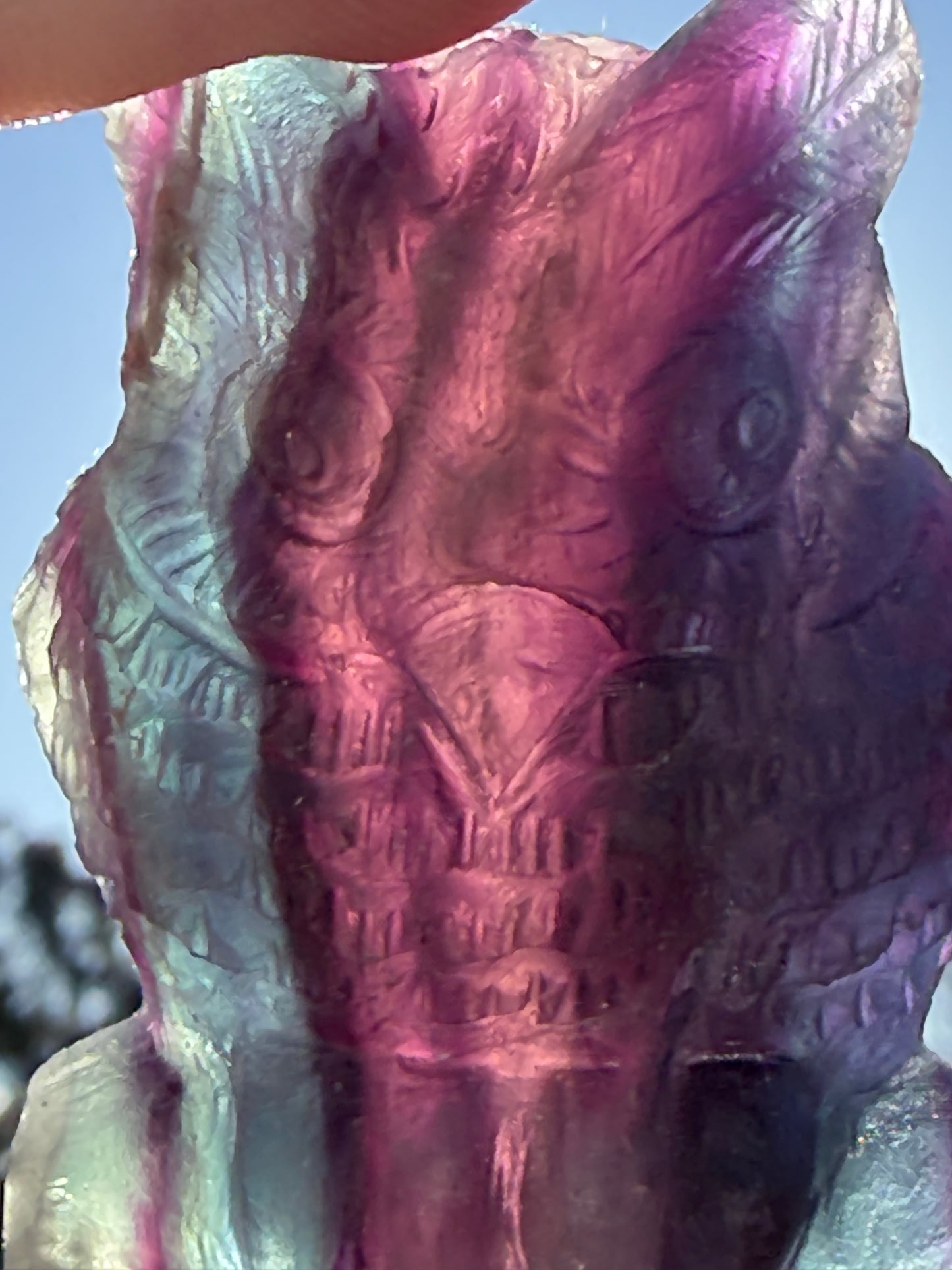 Rare Blue Banding Rainbow Fluorite Owl Carving – 5.1cm