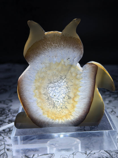 Druzy Agate Cat Geode — 160g | 9.4 x 8.1cm