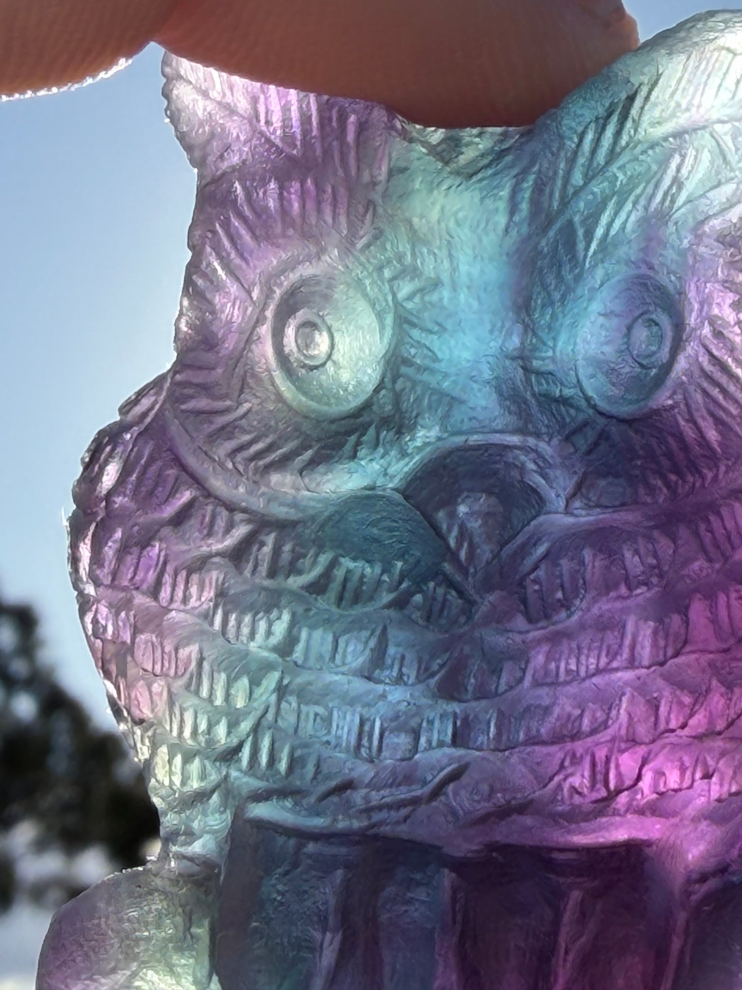 Rare Blue & Pink Rainbow Fluorite Owl Carving – 5.1cm