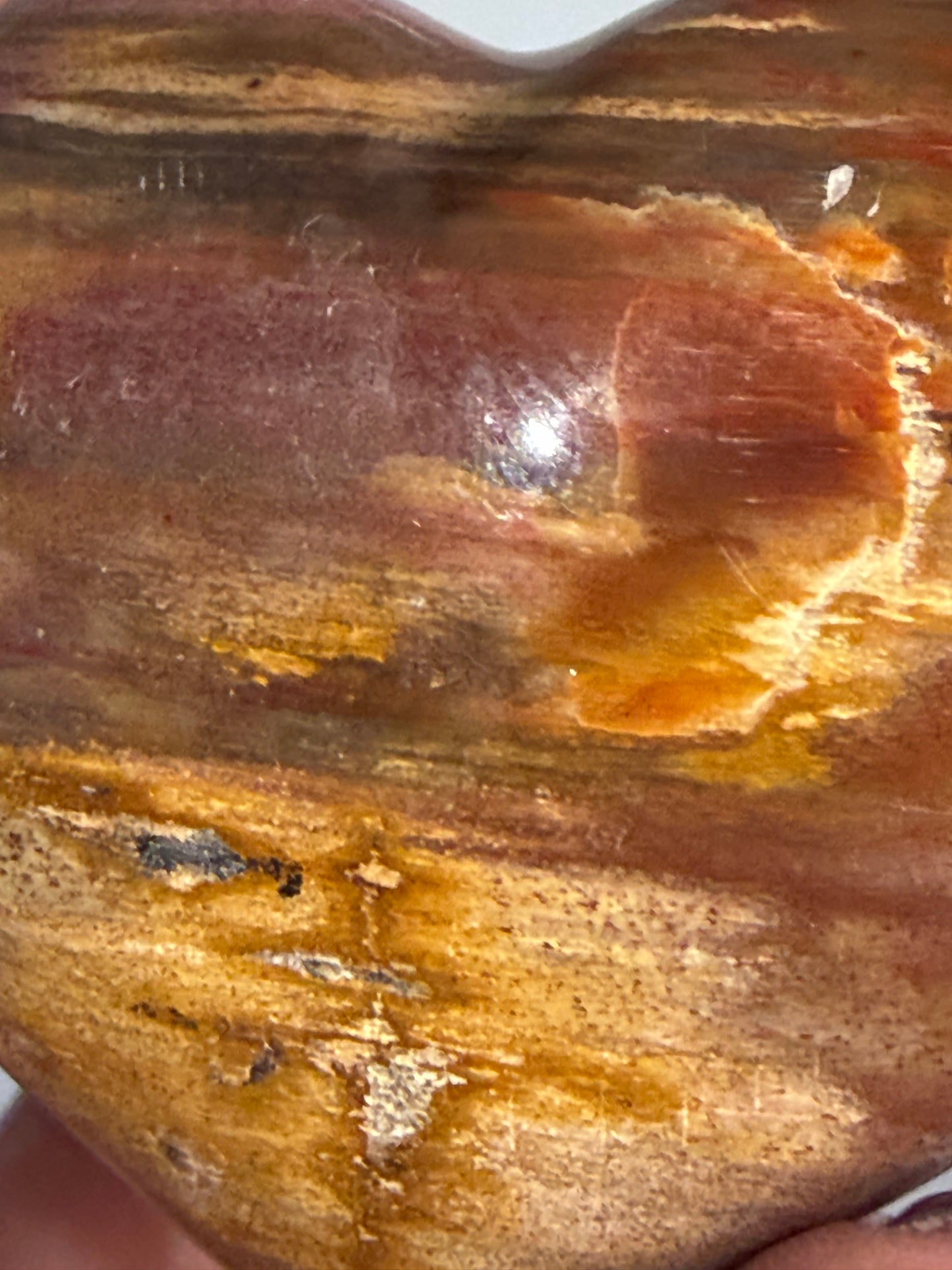 Petrified Wood Heart 🤎 C