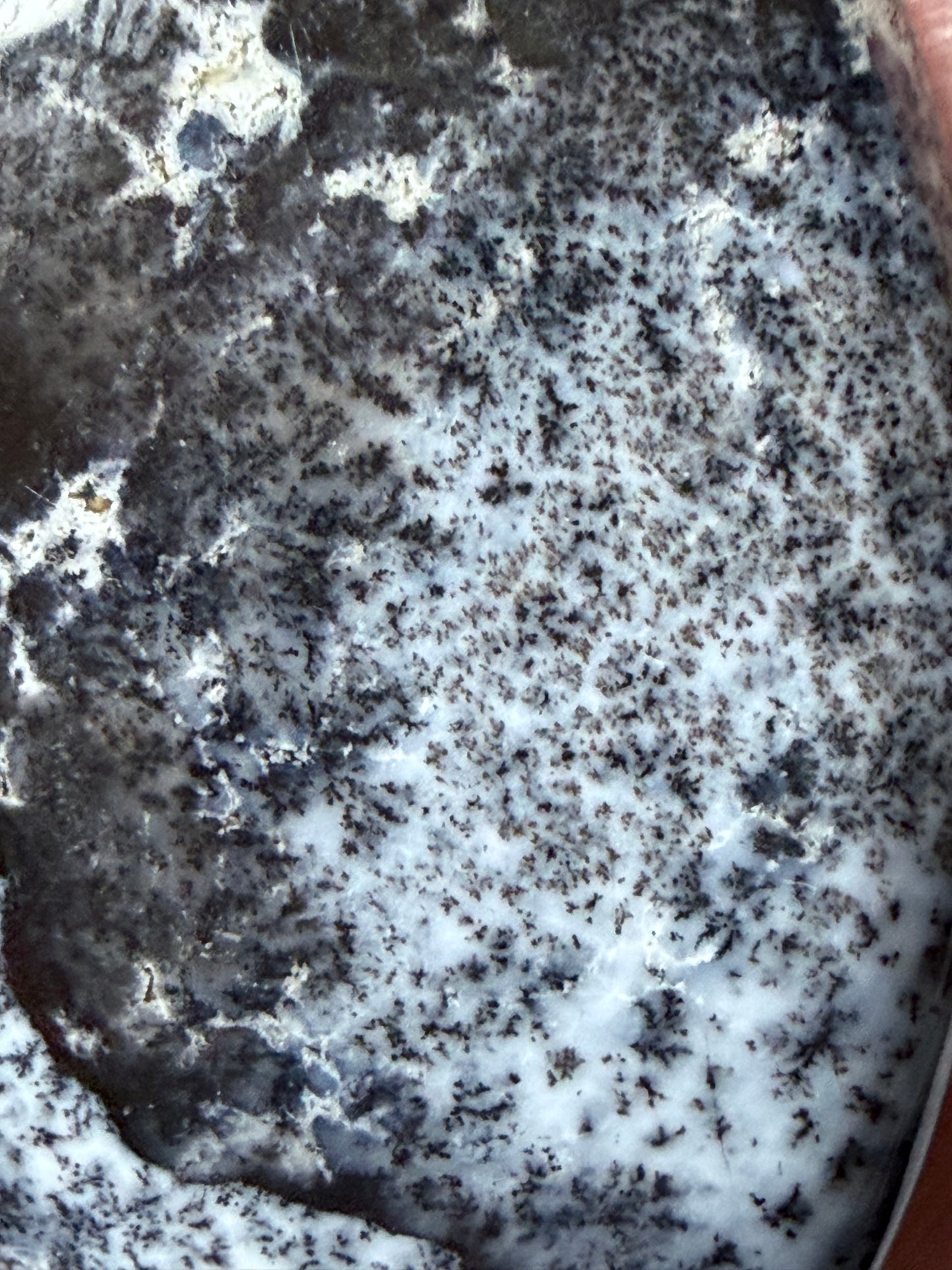 Dendritic Opal (Merlinite) Pendant Necklace