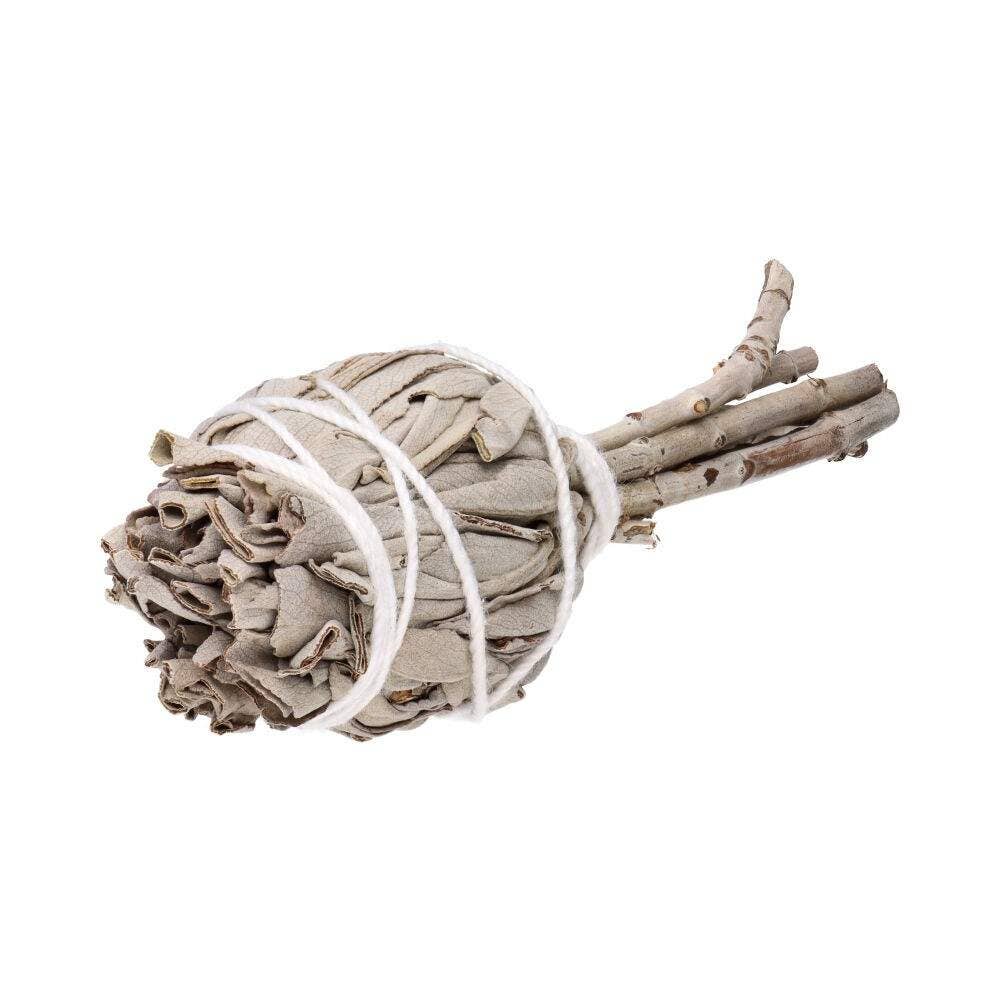 California white sage torch (Salvia Apiana)