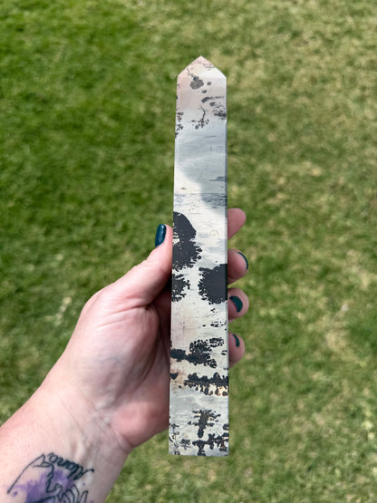 Picture Jasper with Dendritic Inclusions