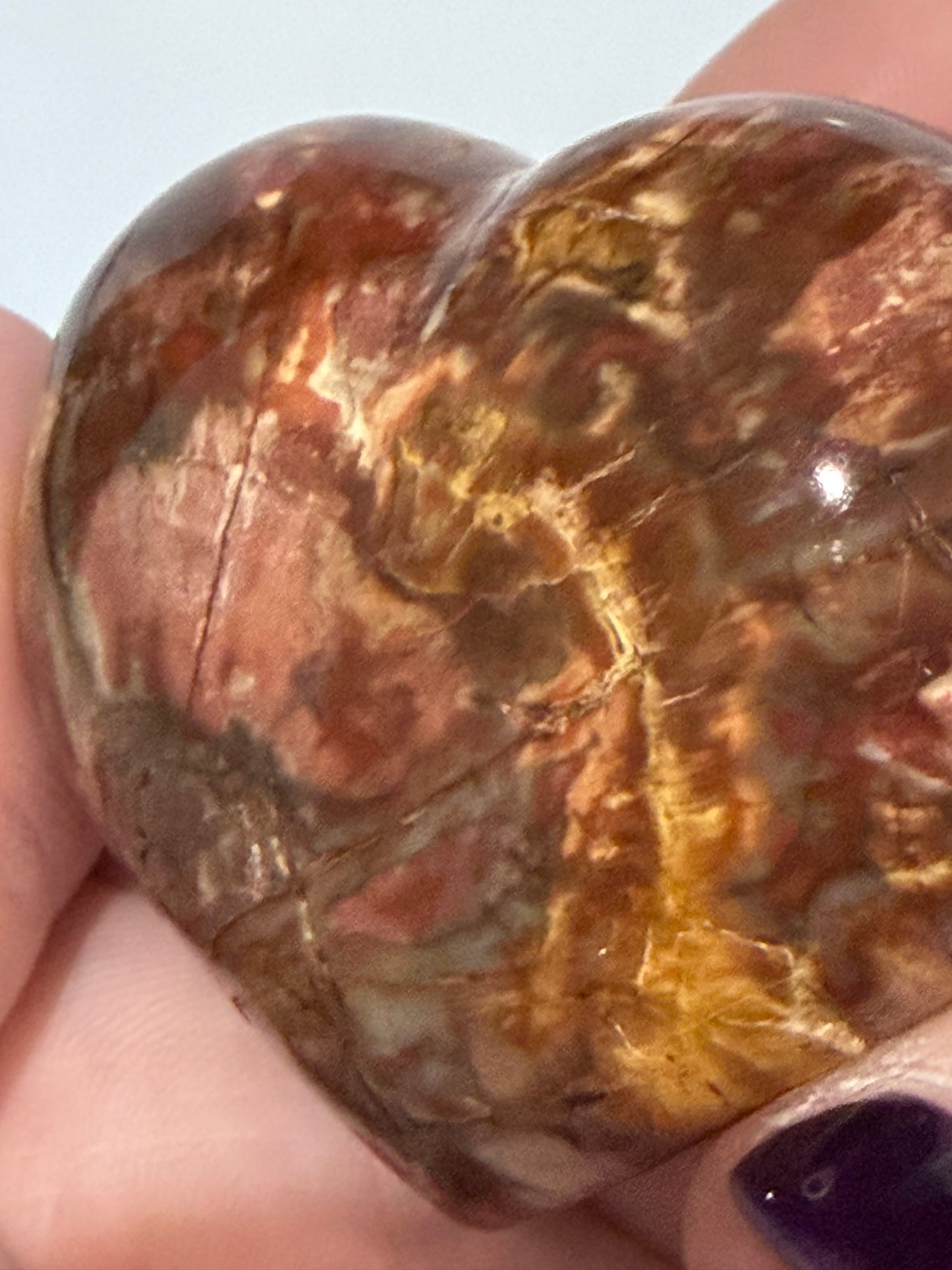 Petrified Wood Heart 🤎 A