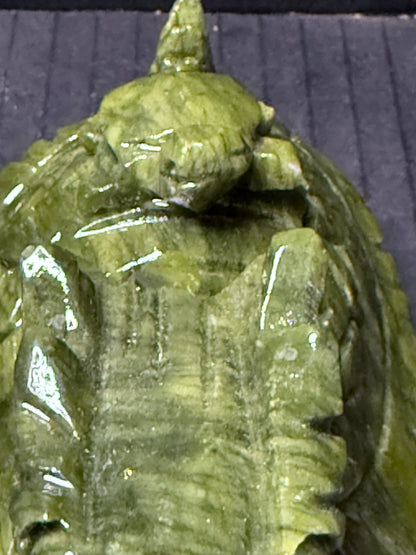 Serpentine Jade (New Jade) Turtle Dragon Carving (12 x 6.5cm | 400g)