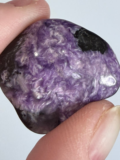 Rare Charoite Mini Tumbles