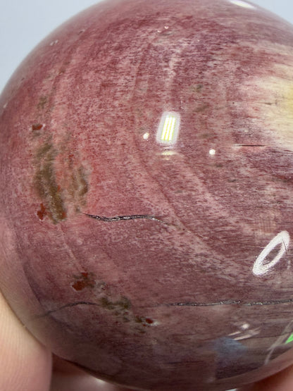 Pink Petrified Wood Sphere – 180g | 5cm
