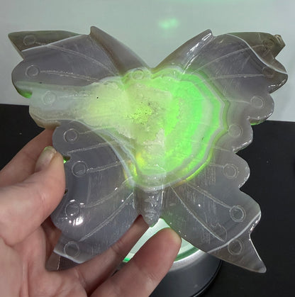 Agate Druzy Butterfly Carving with Metal Zodiac Stand – 15cm
