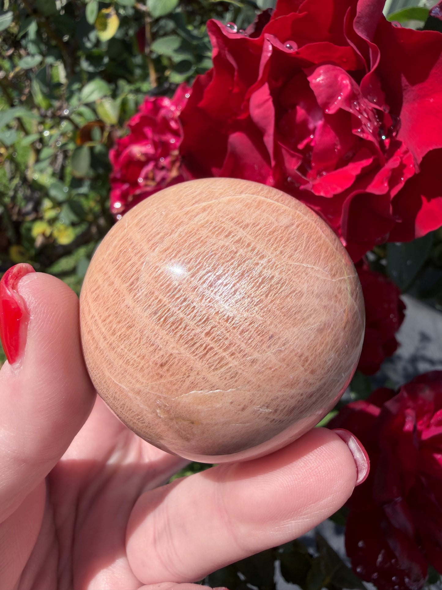 Peach Moonstone Sphere – 5.2cm | 190g
