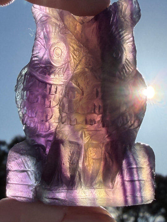 Sunset Rainbow Fluorite Owl Carving – 5.1cm