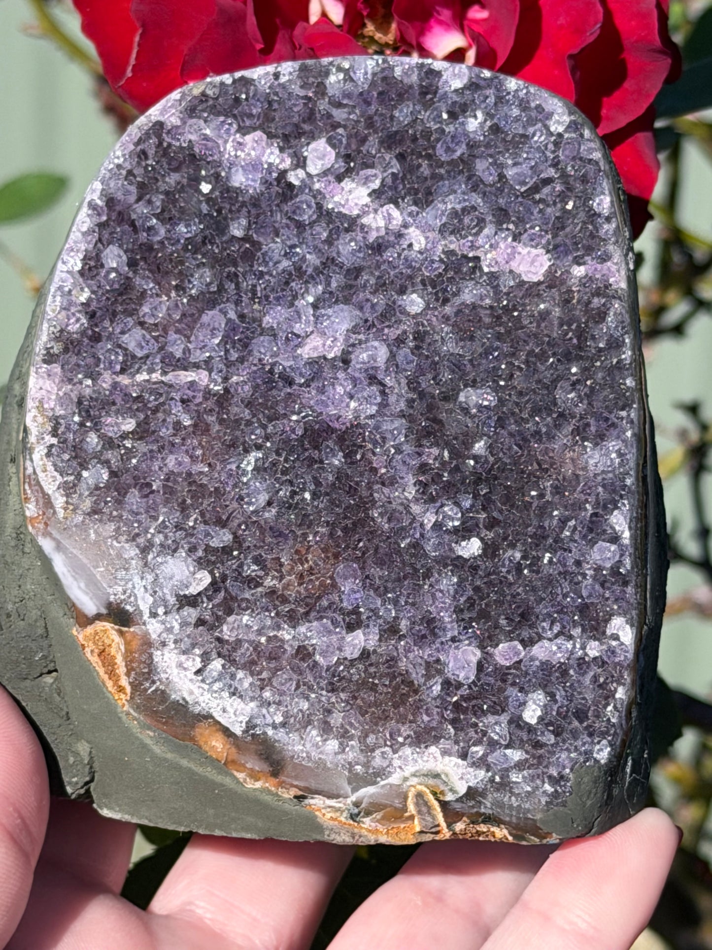 Brazilian Amethyst Druzy Geode – 807g D