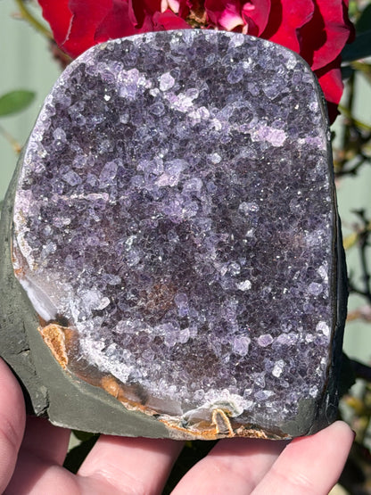 Brazilian Amethyst Druzy Geode – 807g D