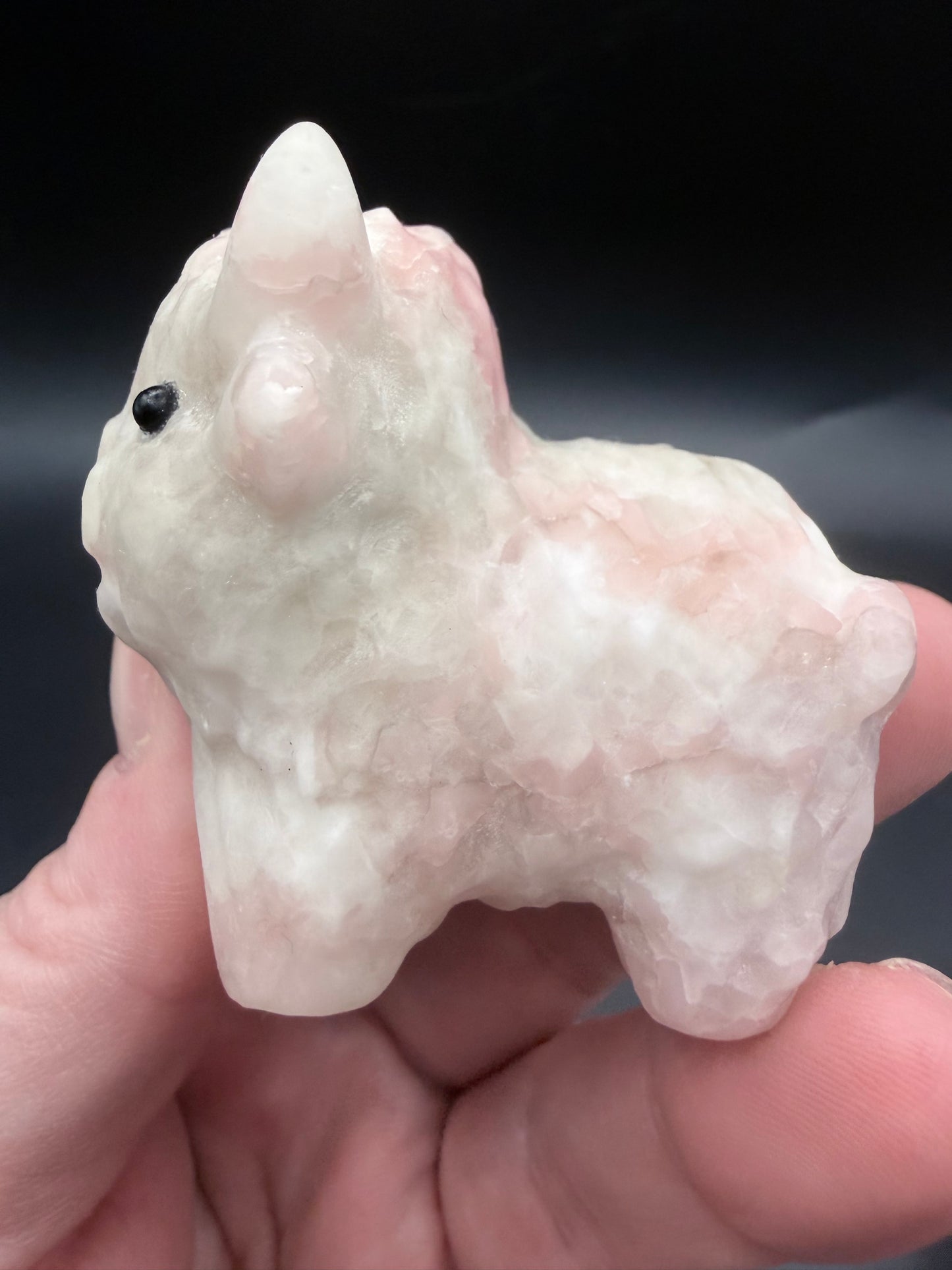 Pink Opal Highland Cow