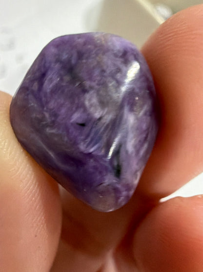 Rare Charoite Mini Tumbles