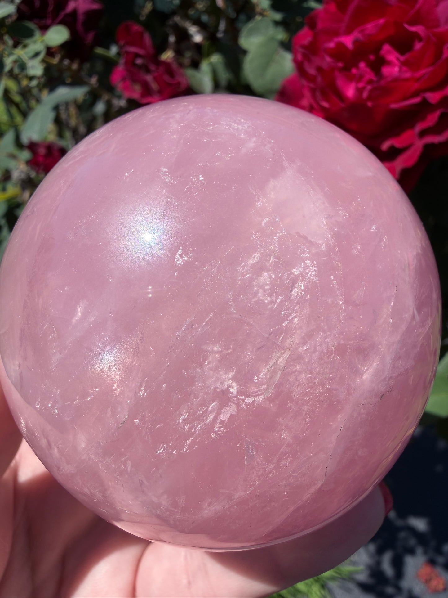 Madagascar Star Rose Quartz Sphere with Stand – 8.1 cm | 750 g