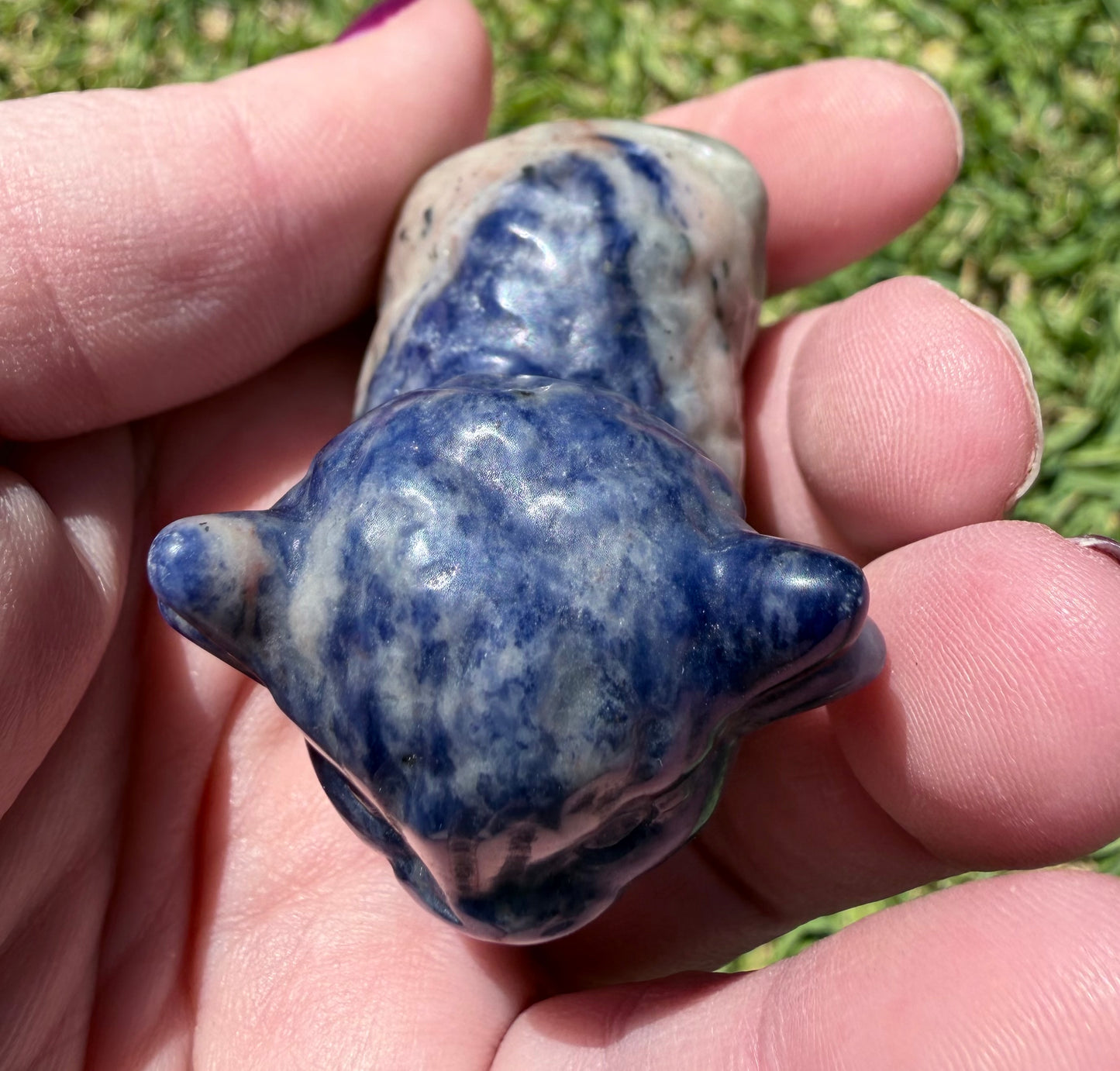 Sodalite Highland Cow 5.5x4.5cm