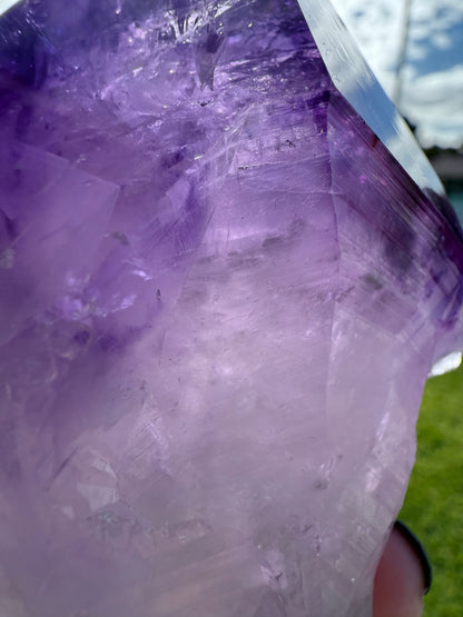 Amethyst Tooth with Custom made stand