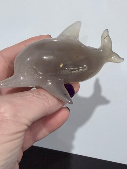 Agate Dolphin with Natural Druzy