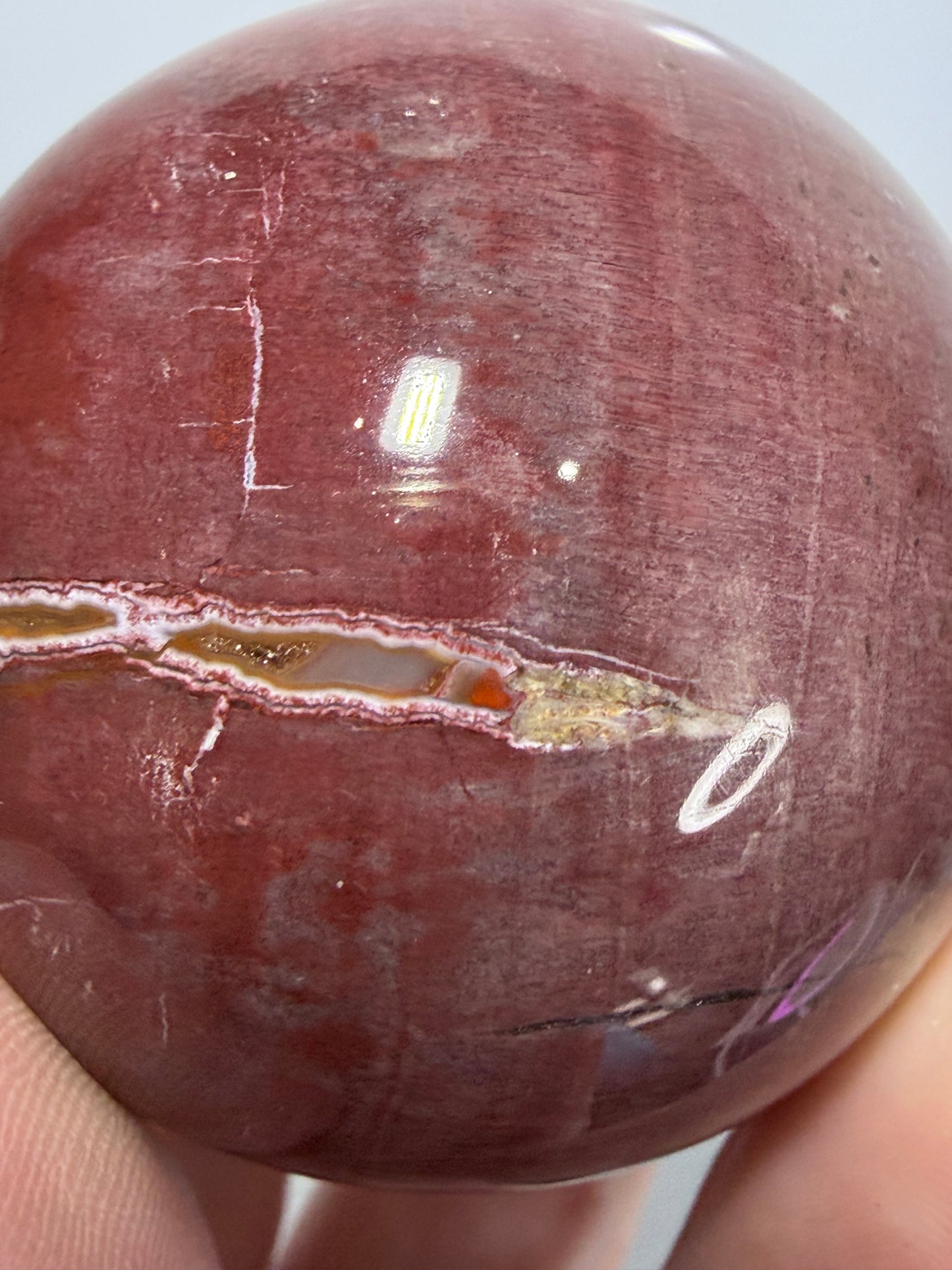 Pink Petrified Wood Sphere – 180g | 5cm
