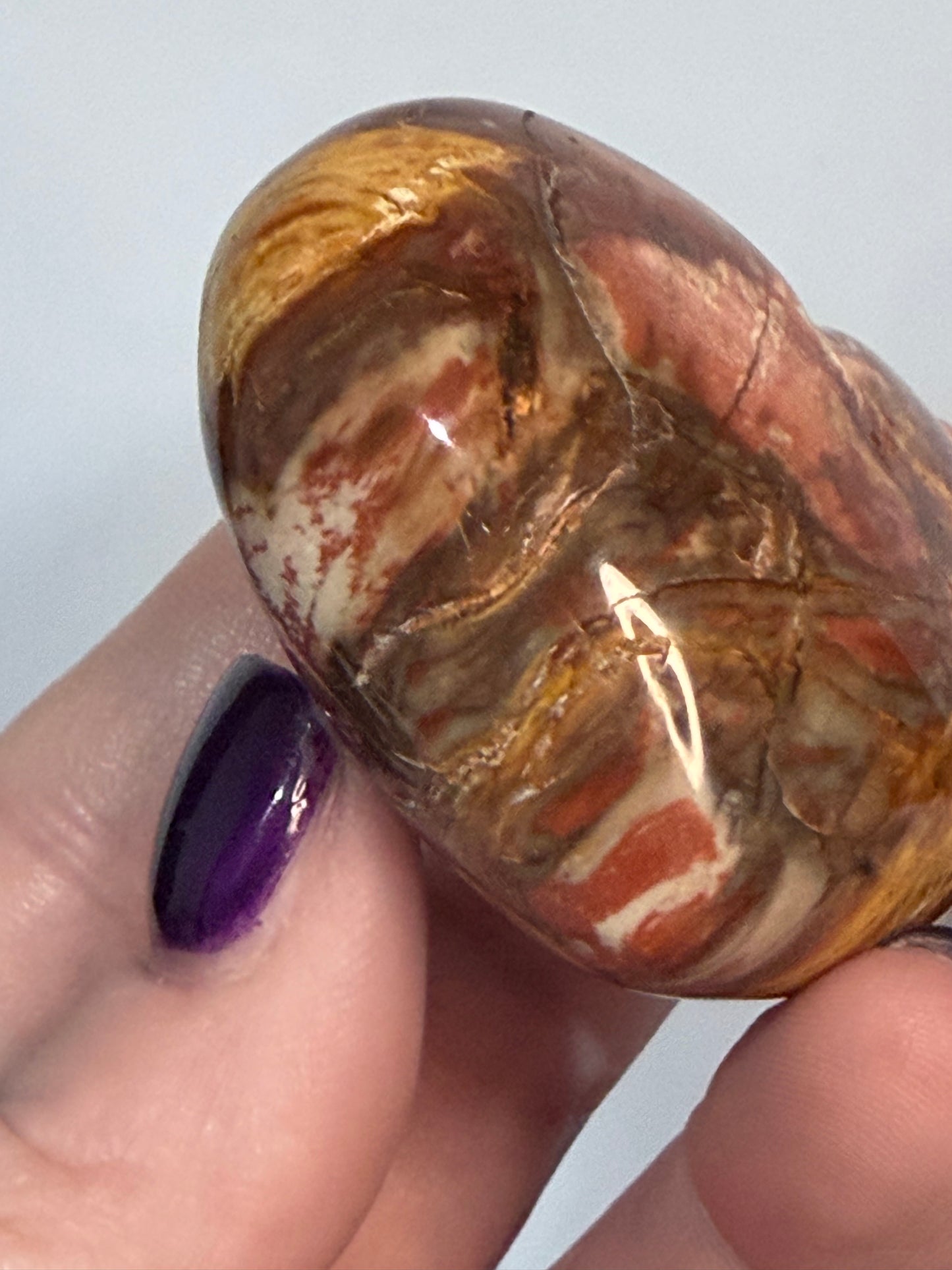 Petrified Wood Heart 🤎 A