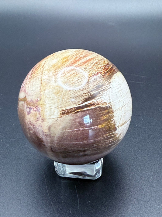 Petrified Wood Sphere