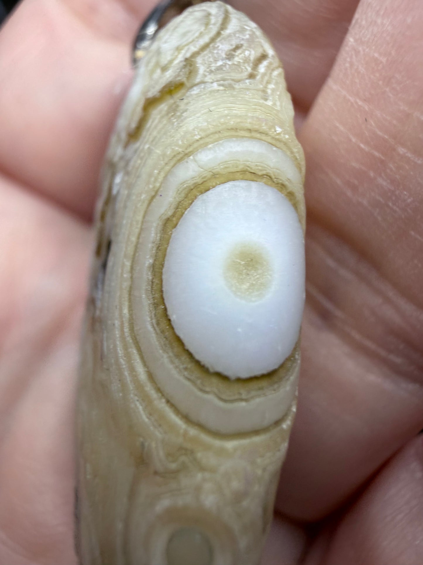 Gobi Eye Agate Pendant – Rare Desert Agate | 4cm