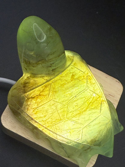 Extra Special Fluorite Turtle with Dendritic Inclusions