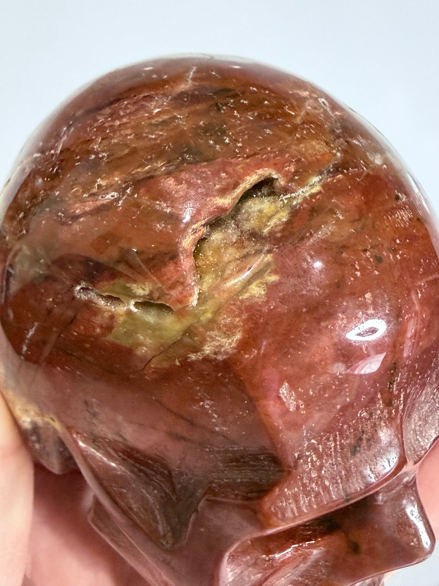 Petrified Wood Skull Crystal Carving – 364g (7 × 8 cm) A