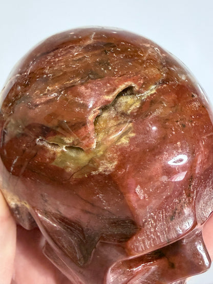Petrified Wood Skull Crystal Carving – 364g (7 × 8 cm) A