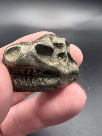 Dinosaur Skull Carvings