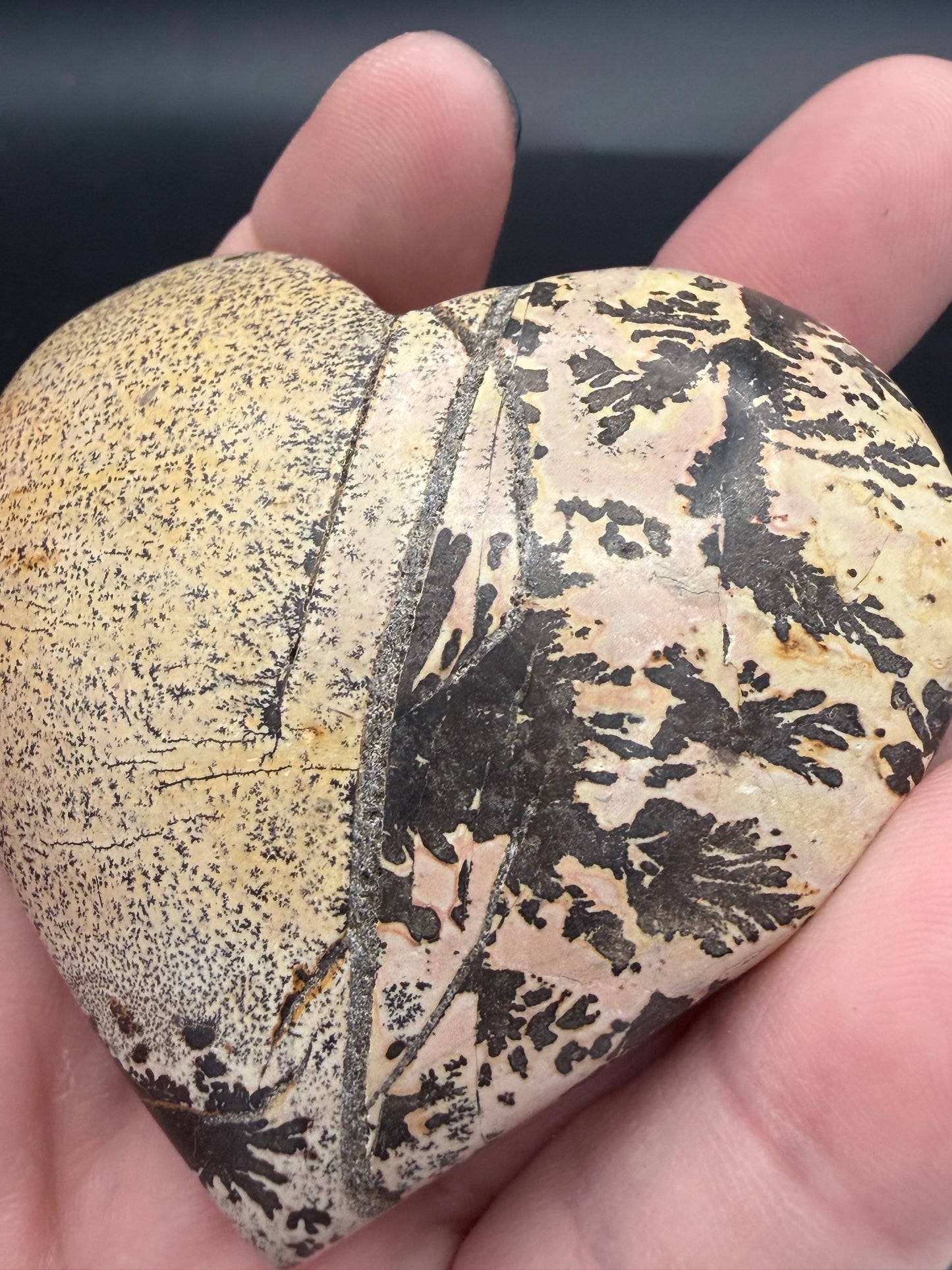 Picture Jasper with Dendritic Inclusions Heart 6.3cm