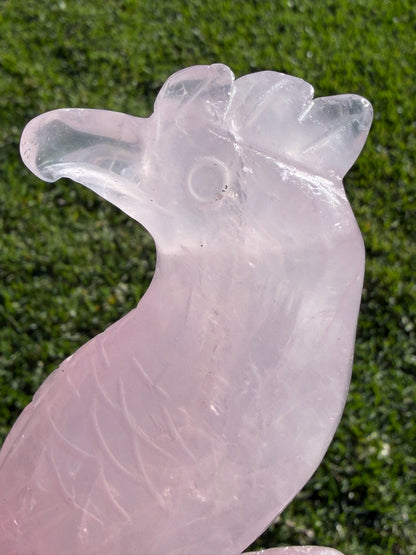 Rose Quartz Parrot Carving – 500g