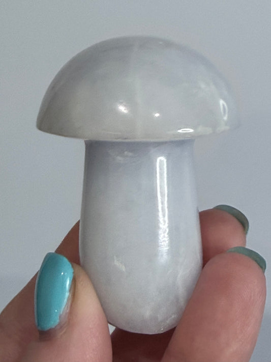 Blue Calcite Mushroom Crystal – A