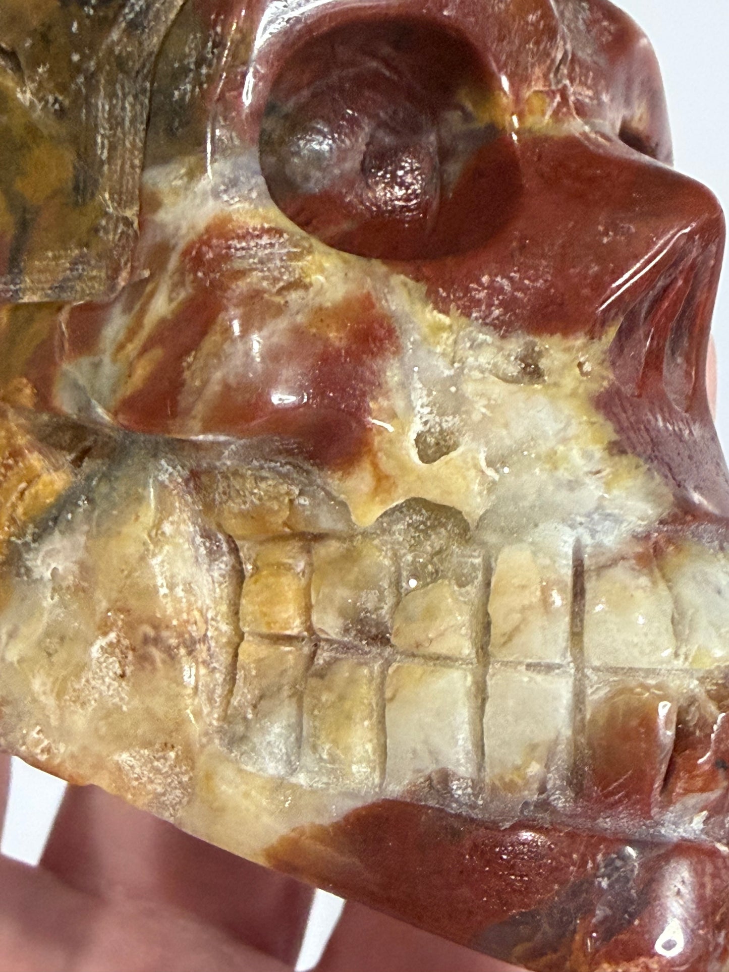 Petrified Wood Crystal Skull – 357g | 7 × 8 cm B