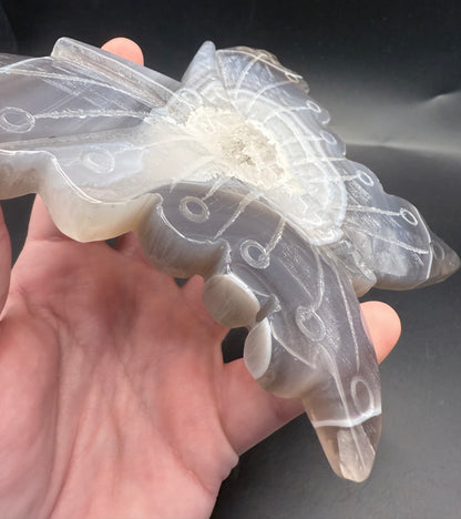 Large Agate Butterfly with Druzy