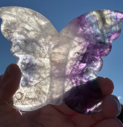 Rare White & Blue Rainbow Fluorite Butterfly Carving 7cm with Stand