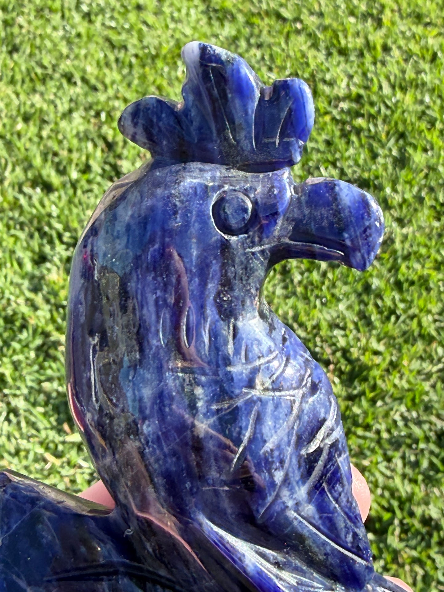 Sodalite Parrot Carving – 400g