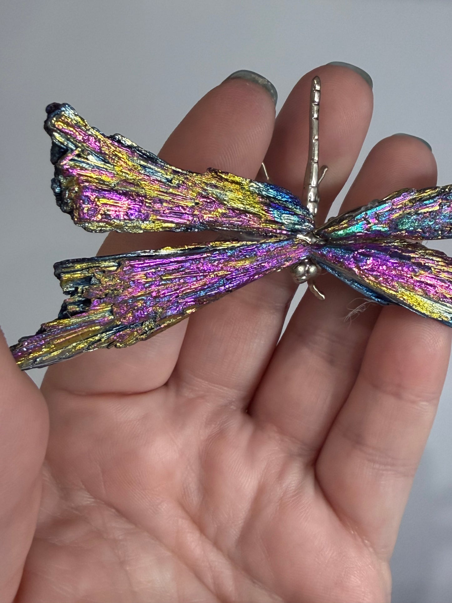Aura Kyanite Dragonfly – 9cm