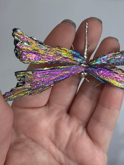 Aura Kyanite Dragonfly – 9cm