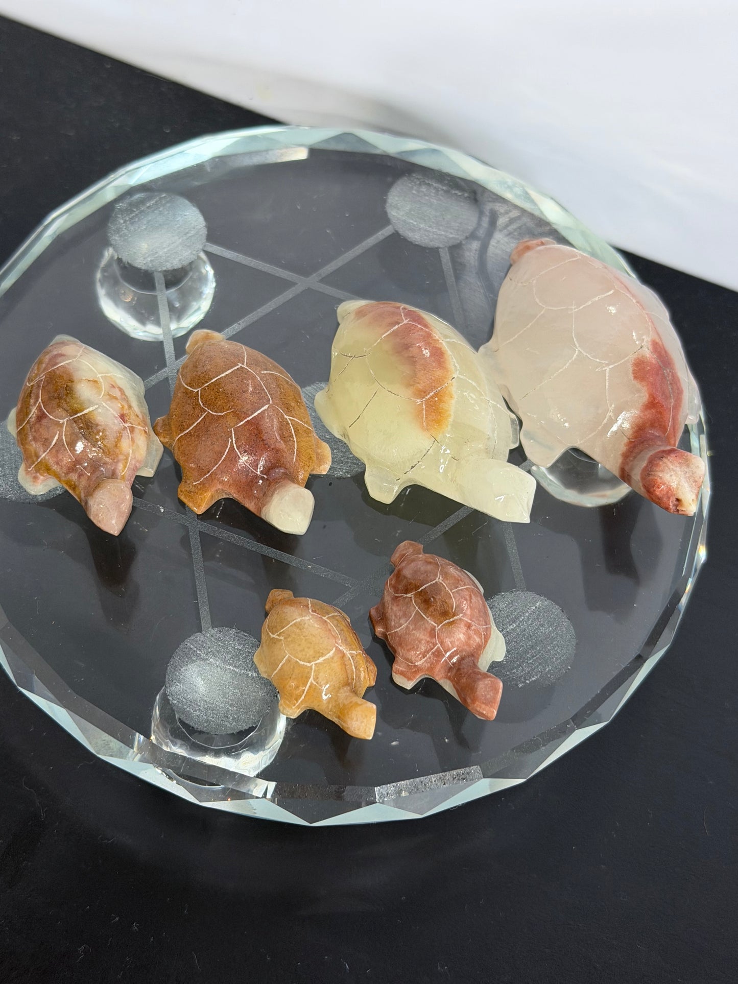 Brown Banded Calcite Turtle Family Carving – Set of 6