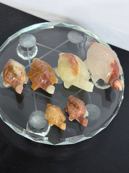 Brown Banded Calcite Turtle Family Carving – Set of 6